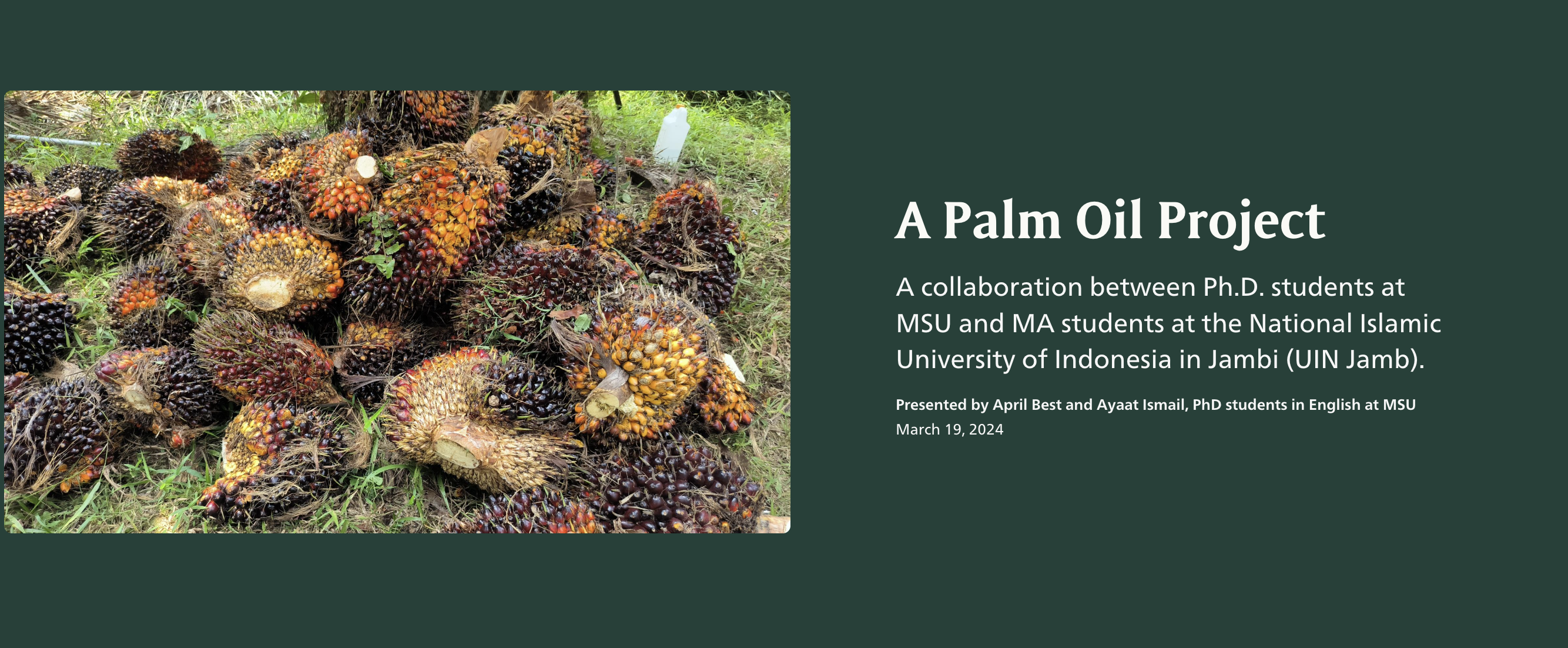 A Palm Oil Project